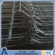 Fabriqué en Chine Vente chaude Clôture en treillis trempé chaud / clôture en fil 3d / clôture en treillis métallique soudé